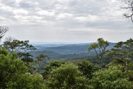 green amazon landscapeの写真素材