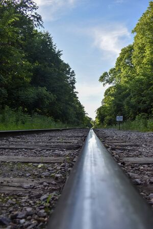 train rails in the forestの写真素材