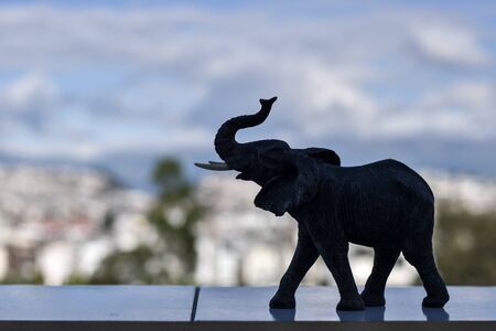 focused elephant silhouette with city behindの写真素材