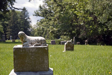 Forgotten Cementeryの写真素材