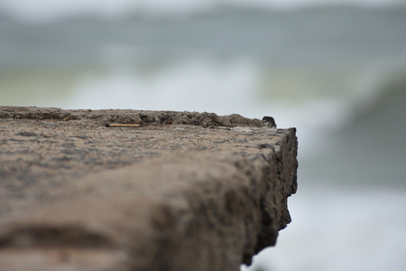 Sea Shore and Brick cornerの写真素材