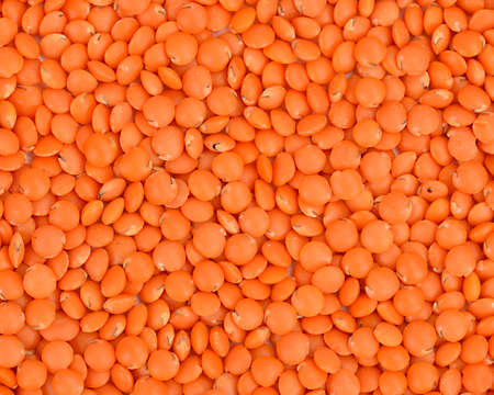 Photo Shoot of Masur Dal
