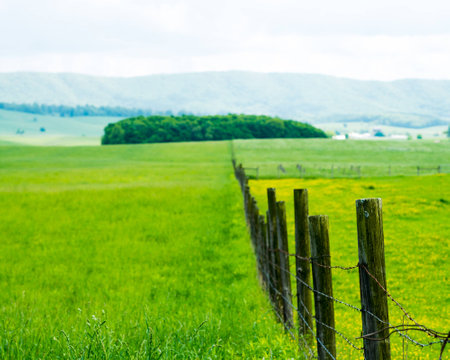 Fence across field , trees and mountains.Burkes Garden VAの写真素材