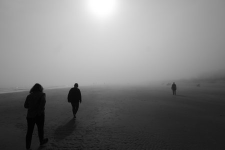 Post apocalypse looking landscape,heavy winter fog on beach .