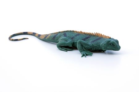 A life like green and yellow lizard isolated over white.