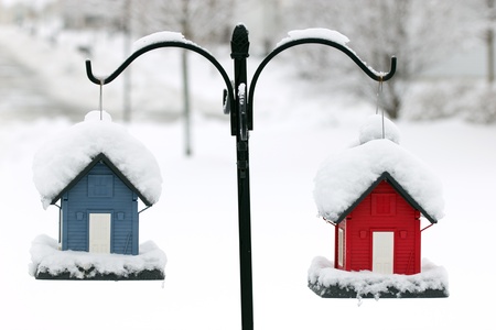 Red and blue snow covered bird feedersの写真素材
