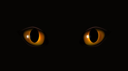 Vector orange and yellow cat eyes staring in the dark vector illustrationのイラスト素材