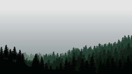 Landscape with silhouettes of trees in misty forest and light gray sky - vector illustrationのイラスト素材