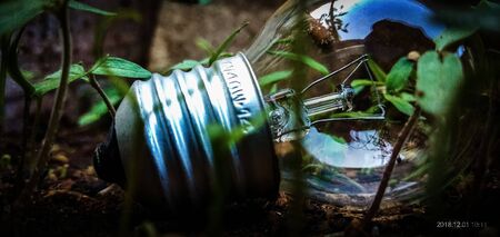 A bulb with super natural backgroundの写真素材