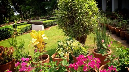 Such a beautiful garden with the fresh and colorful flowersの写真素材