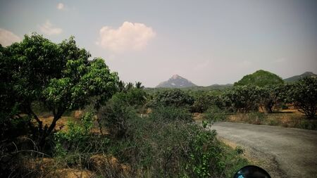 Small mountains and a tree captured in sunny weather in a small village roadの写真素材