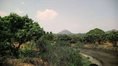 Small mountains and a tree captured in sunny weather in a small village roadの写真素材