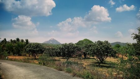 Such a beautiful image covered with tree, mountain, clouds and skyの写真素材