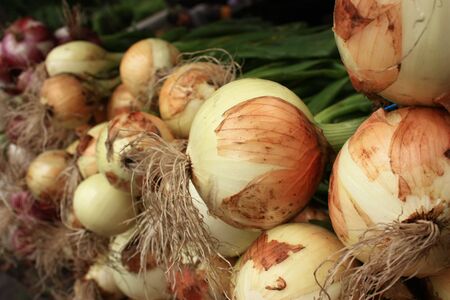 fresh onions on farmers marketの写真素材