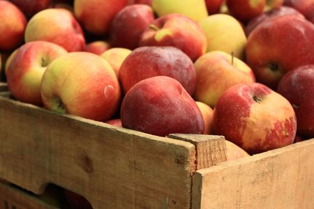 Fresh Apples at Farmers Marketの写真素材