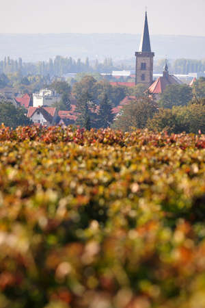 Autumn in a in little down in Germany, Rheinland-Pfalzの写真素材