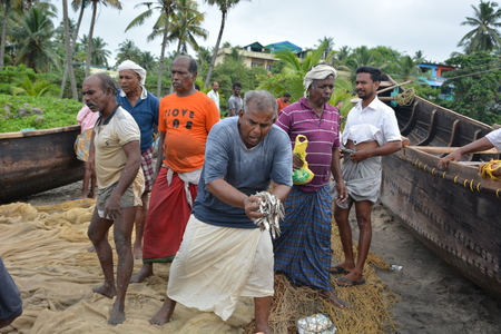 Goa, India - November 5, 2015 - Fishermen catching fishes the traditional way  sharing the catch and bargainingのeditorial素材