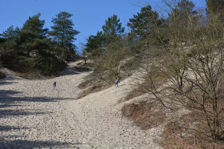 Camperduin, Netherlands - March 27, 2016: Family walking and playing in huge duneのeditorial素材
