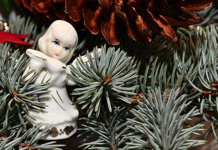 angelの写真素材