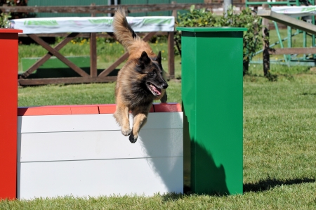 Agilityのeditorial素材