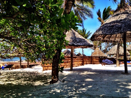 Turtle bay-Kenya の素材