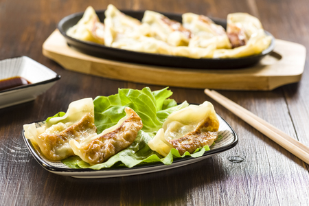 Gyoza stuffed with soy sauce - Japanese cuisineの写真素材