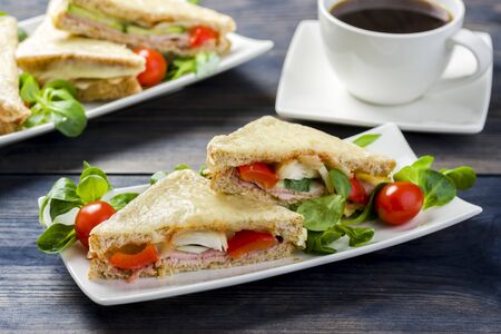 Monsieur croque the best sandwich of the worldの写真素材