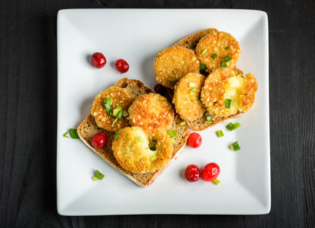 sandwich with fried camembert cheese, bacon and cranberriesの写真素材