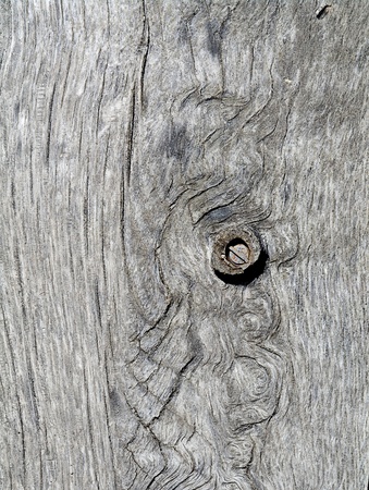 Close-up of wood grain on weathered outdoor step with rusty iron bolt の写真素材
