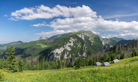 Tatras in the clearingの写真素材