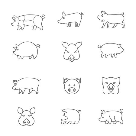icons of piglets.のイラスト素材