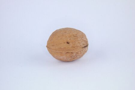 Single Nutの写真素材