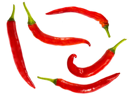 chilli isolate on whiteの写真素材