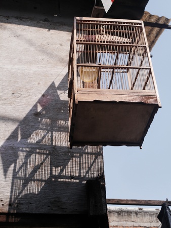 Hanging cageの写真素材