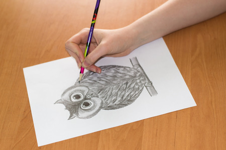 artist's hand draws an owl, pencil on paperの写真素材