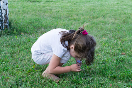 little girl sees a flower in the grassの写真素材