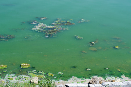 the waterfront with contaminated chemical waste, green waterの写真素材