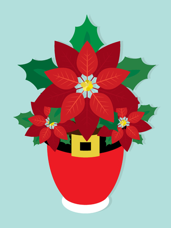 Poinsettia Christmas star plant in decorative potのイラスト素材