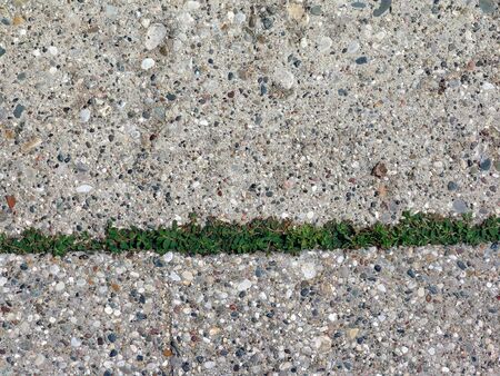 surface of concrete driveway with crack and weedsの写真素材