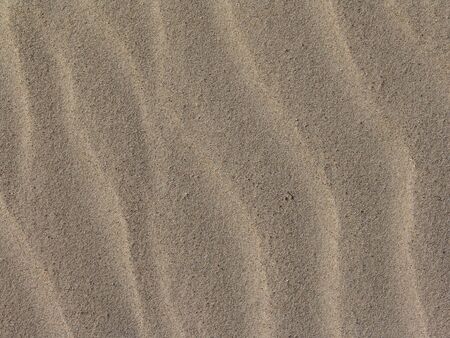 close up of patter in beach sandの写真素材