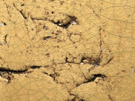 scan of textured cracked tan surface of pottery