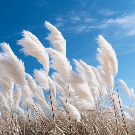 Pampas Grass Against Blue Sky Generative AIの素材