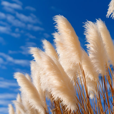 Pampas Grass Against Blue Sky Generative AIの素材