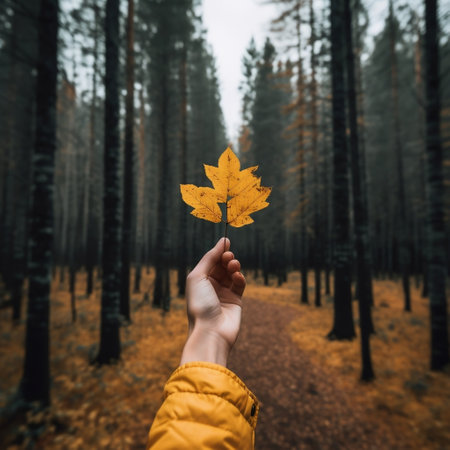 Woman's Hand Holding Yellow Fall Leaf on Background Generative AIの素材