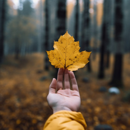 Woman's Hand Holding Yellow Fall Leaf on Background Generative AIの素材