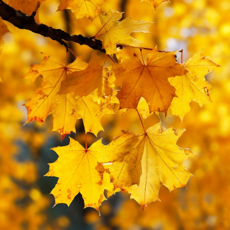 Fall Banner Close-up of Yellow Maple Leaves on Tree Generative AIの素材