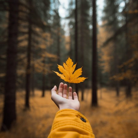 Woman's Hand Holding Yellow Fall Leaf on Background Generative AIの素材