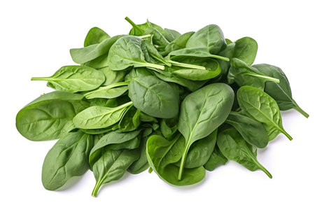 Organic Oregano Leaves Fresh Green Delights Isolated on White Background Generative AIの素材