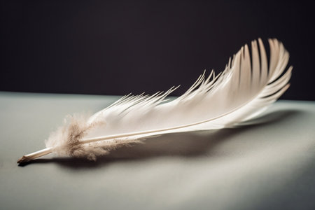 Resting Single White Feather on a Plain Background Generative AIの素材