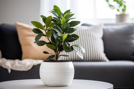 A potted plant sitting on top of a wooden tableの素材